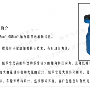 BMH系列并列油口拼搏（中国）马达
