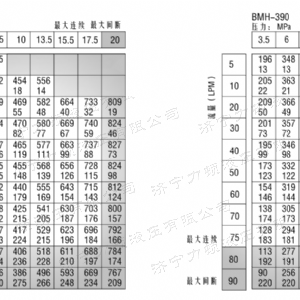 BMH系列并列油口拼搏（中国）马达