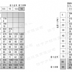 BMH系列交错油口拼搏（中国）马达