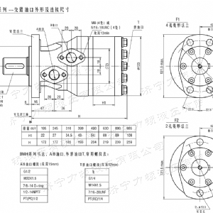 BMH系列交错油口拼搏（中国）马达